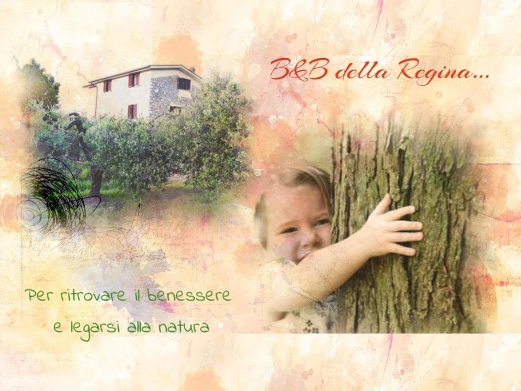 Bed And Breakfast Della Regina... Fondi Esterno foto